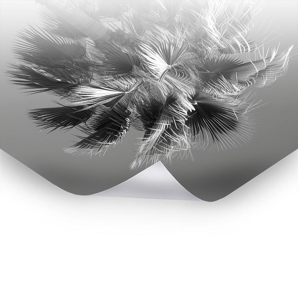 Under the Palm - Schwarz-Weiß Kunst als Premium Poster & Hahnemühle