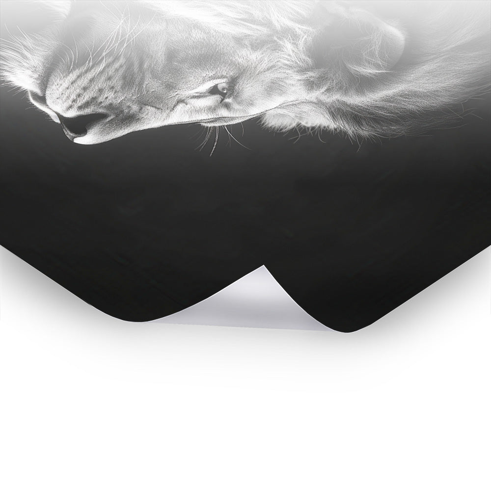 The Silent King - Schwarz-Weiß Kunst als Premium Poster & Hahnemühle