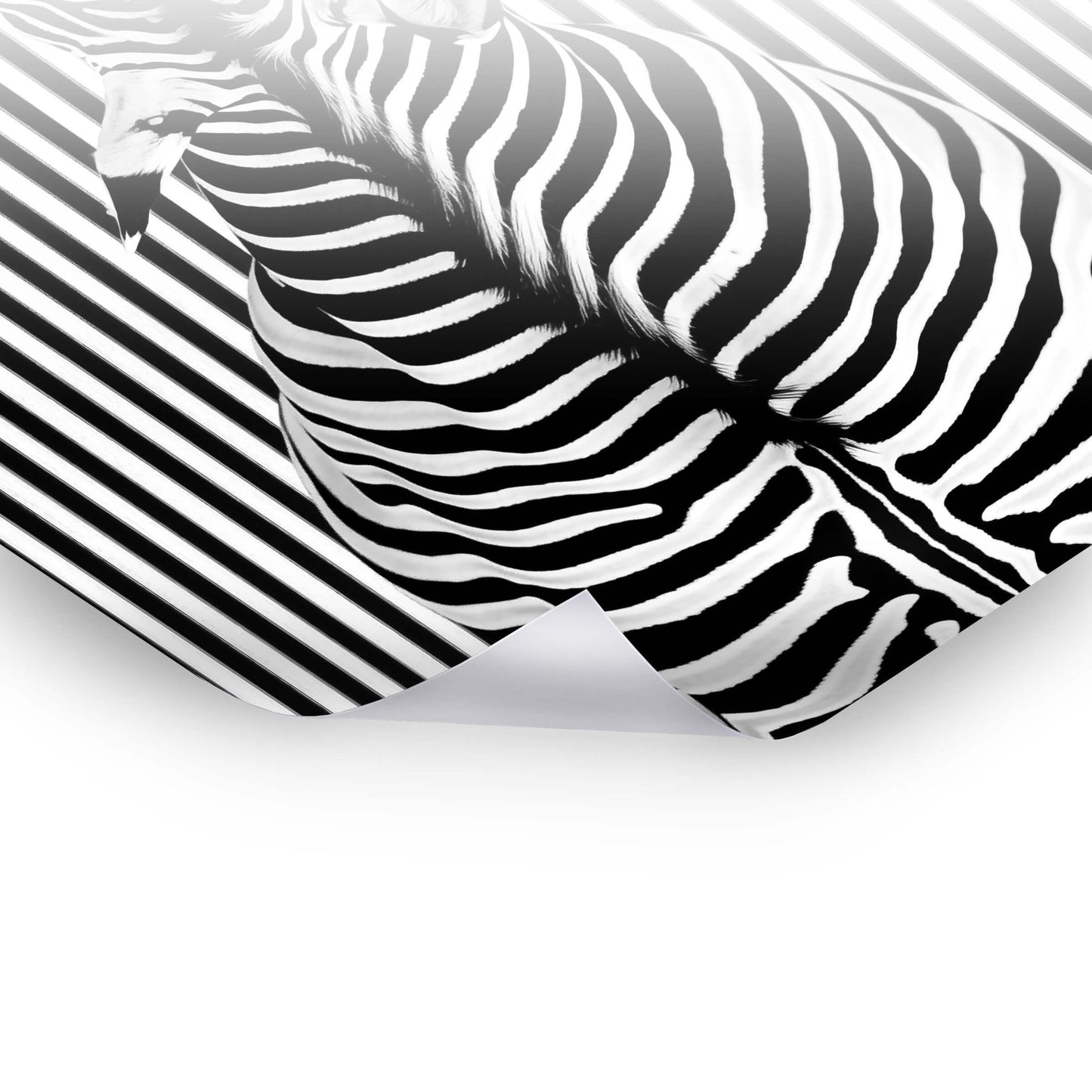 Abstract Zebra