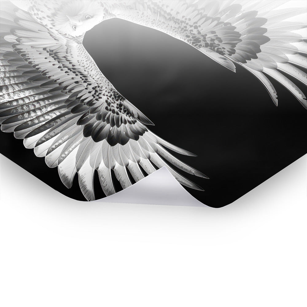 Flying Eagle - Schwarz-Weiß Kunst als Premium Poster & Hahnemühle