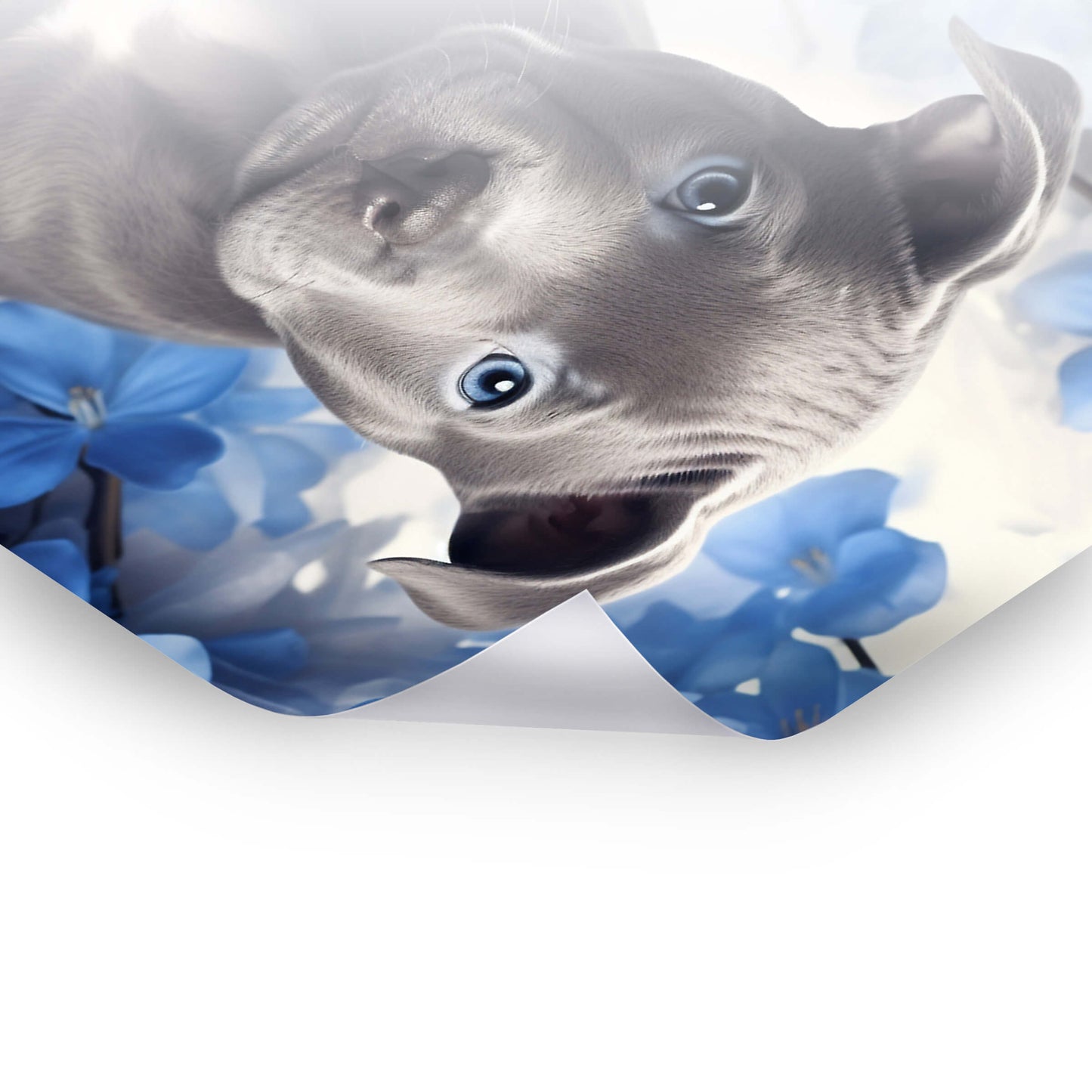 Lovely American Staffordshire Terrier