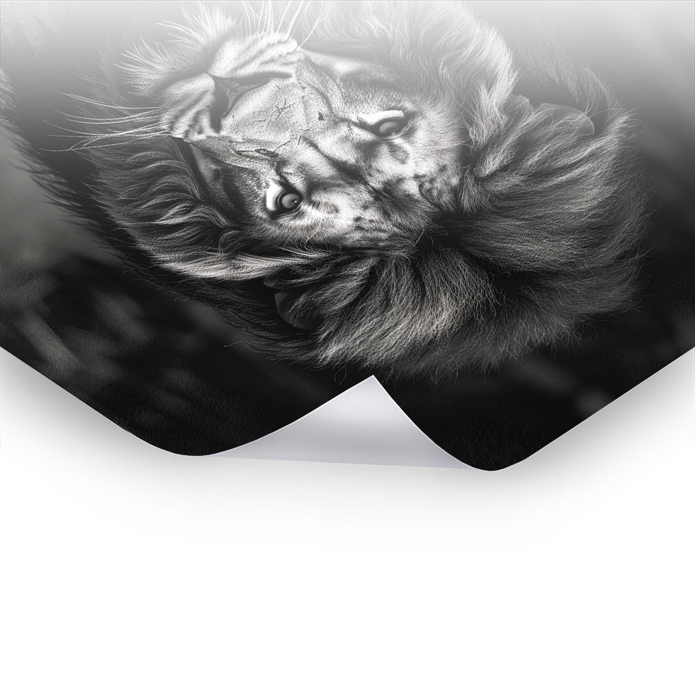 Lion on the Hunt - Schwarz-Weiß Kunst als Premium Poster & Hahnemühle