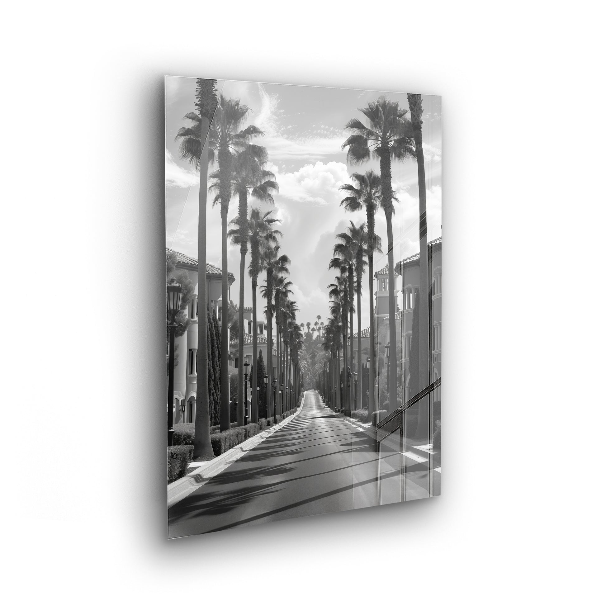 Palm Avenue - Schwarz-Weiß Foto als Acrylglas Wandbild