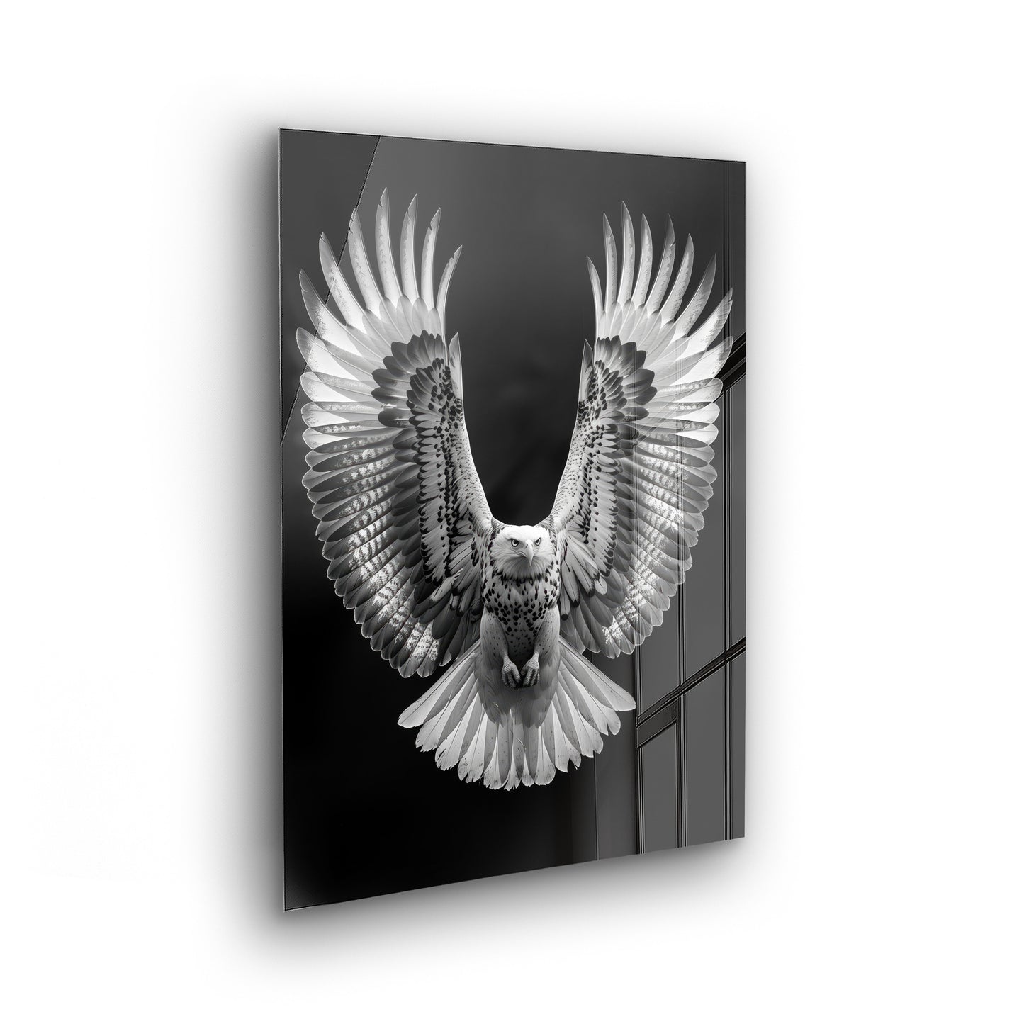 Flying Eagle - Schwarz-Weiß Foto als Acrylglas Wandbild