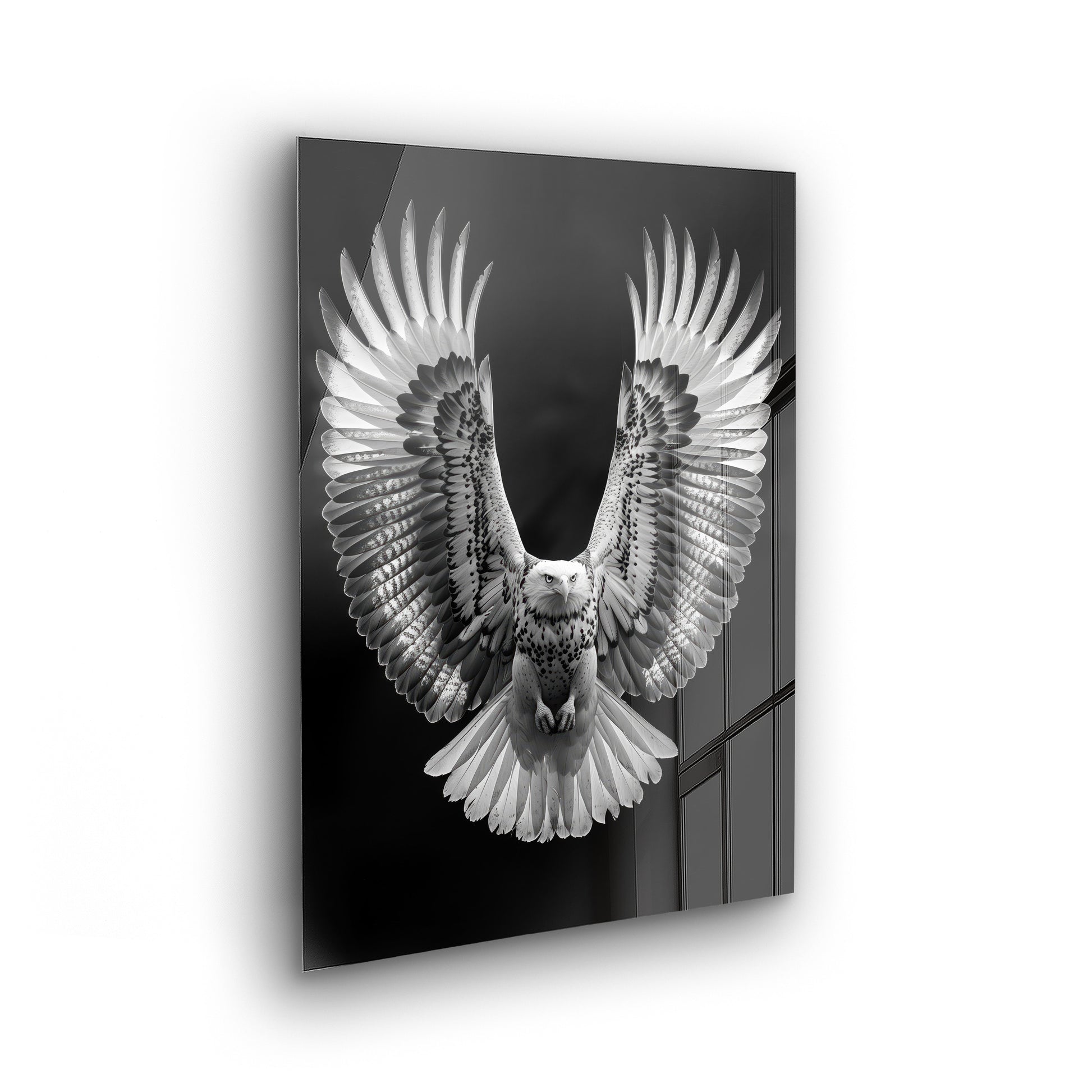 Flying Eagle - Schwarz-Weiß Foto als Acrylglas Wandbild