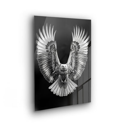 Flying Eagle - Schwarz-Weiß Foto als Acrylglas Wandbild
