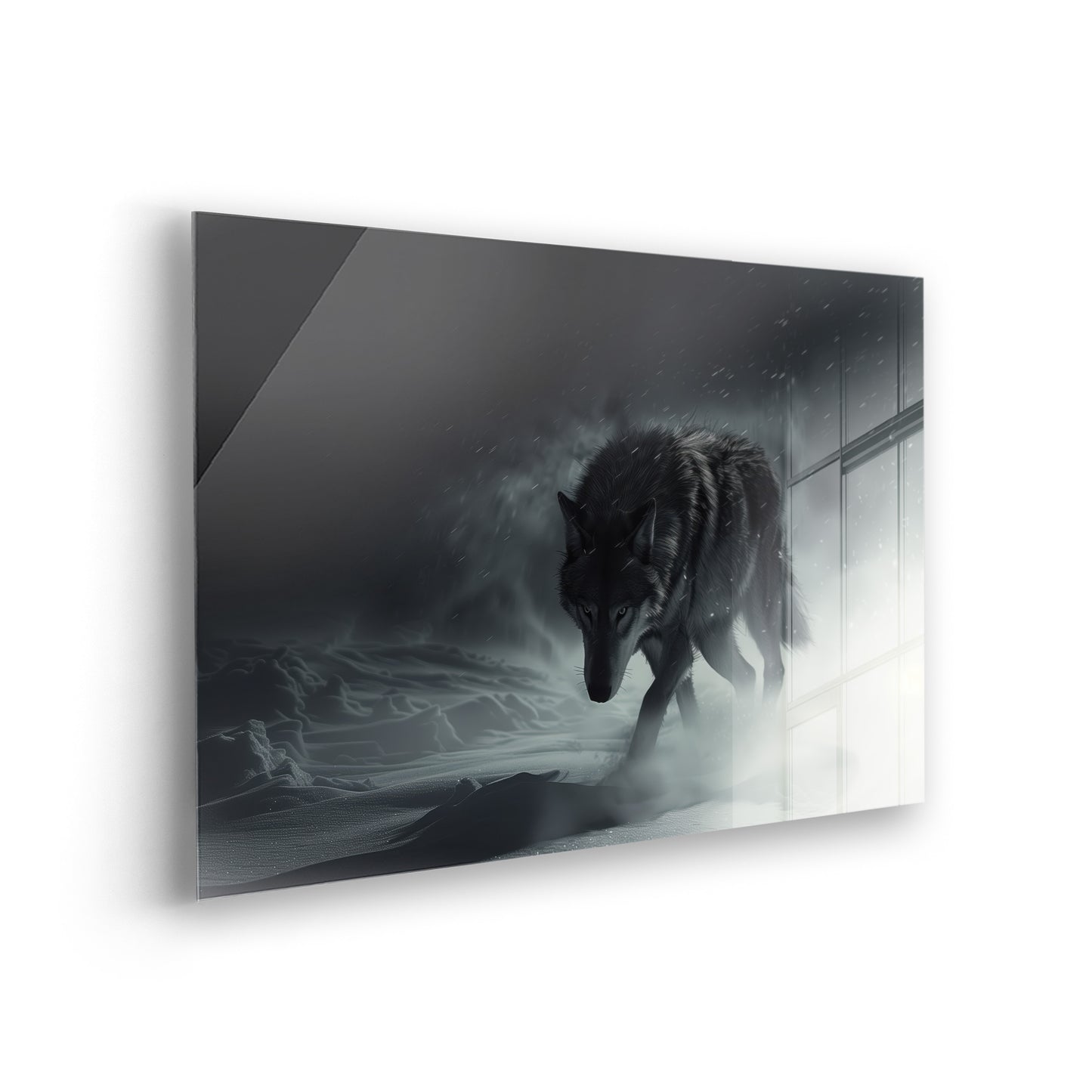 Wolf in Snow - Schwarz-Weiß Foto als Acrylglas Wandbild
