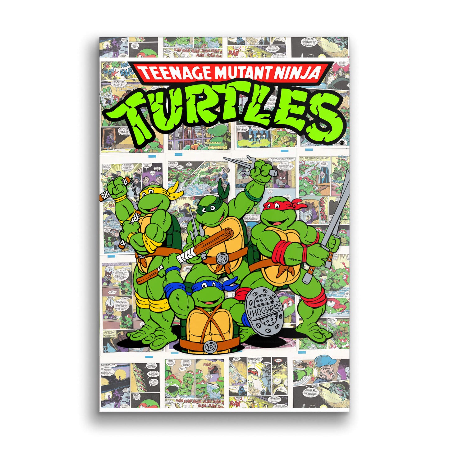 The Turtles