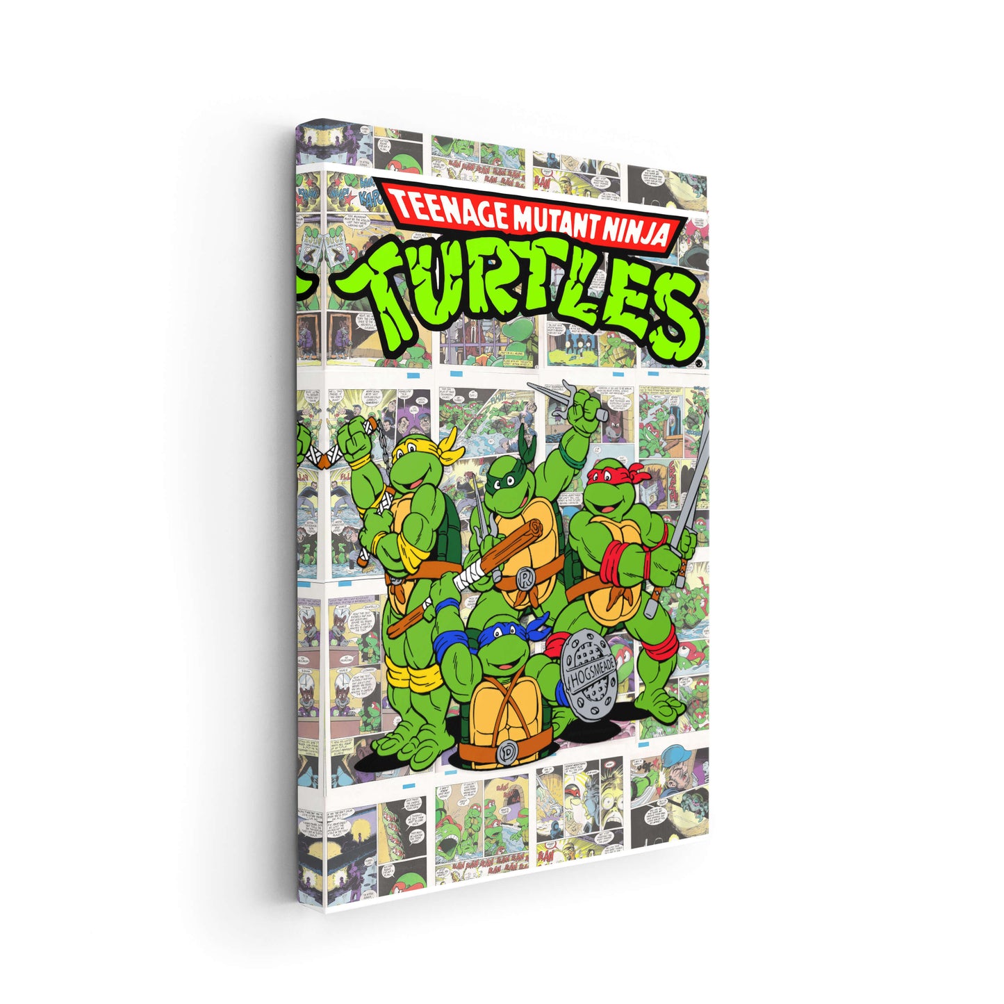The Turtles